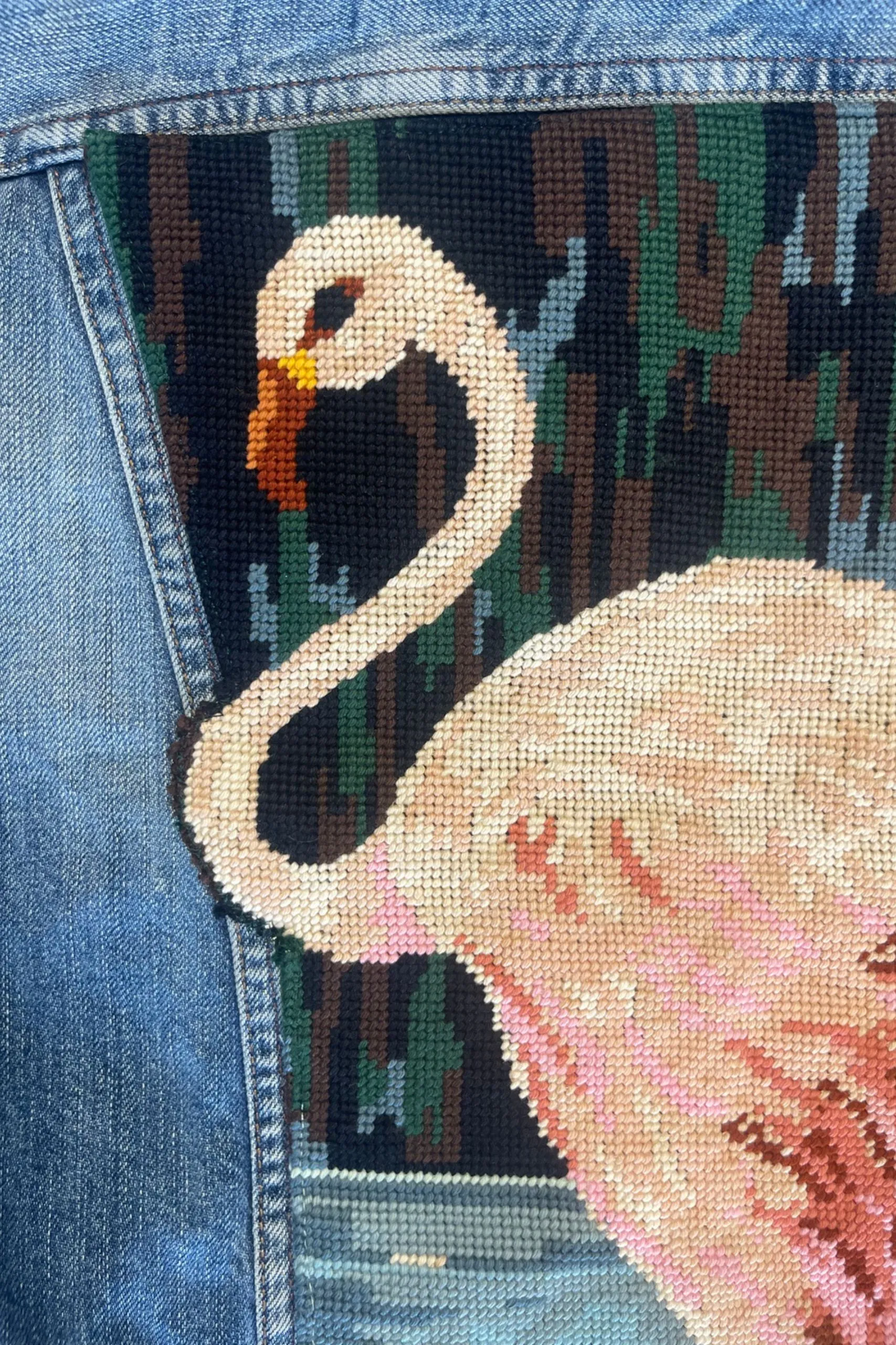 Flamingo à collier – Image 6