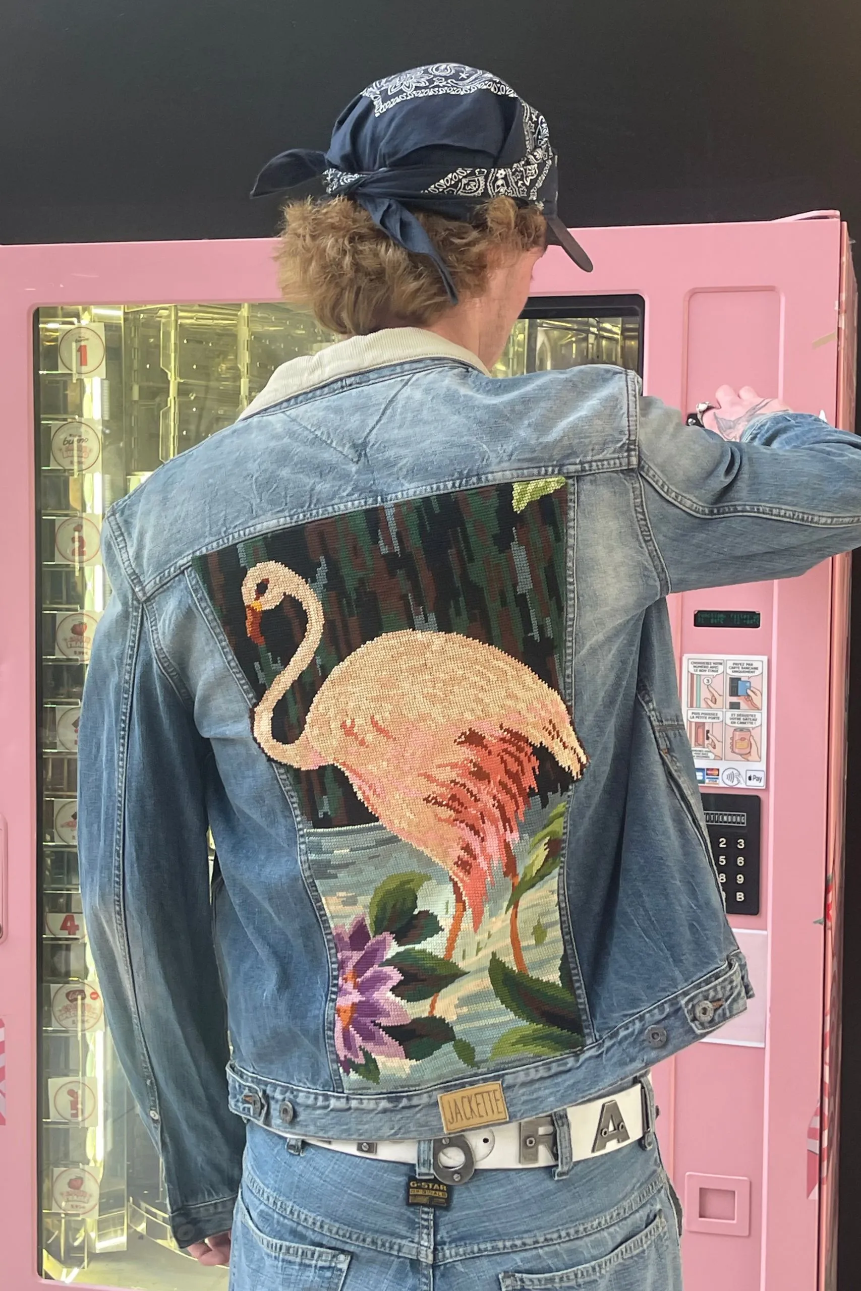 Flamingo à collier