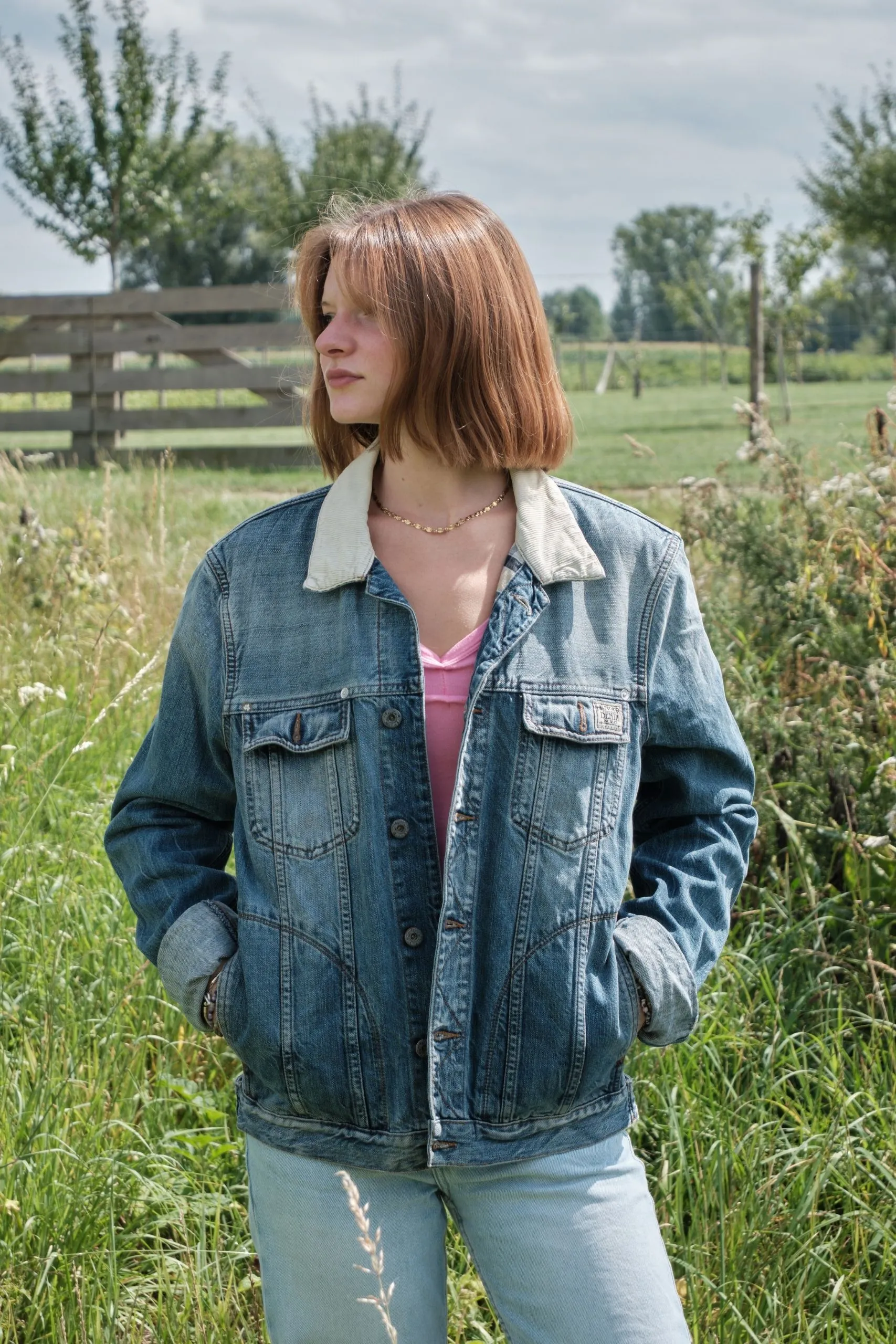 Flamingo à collier – Image 3