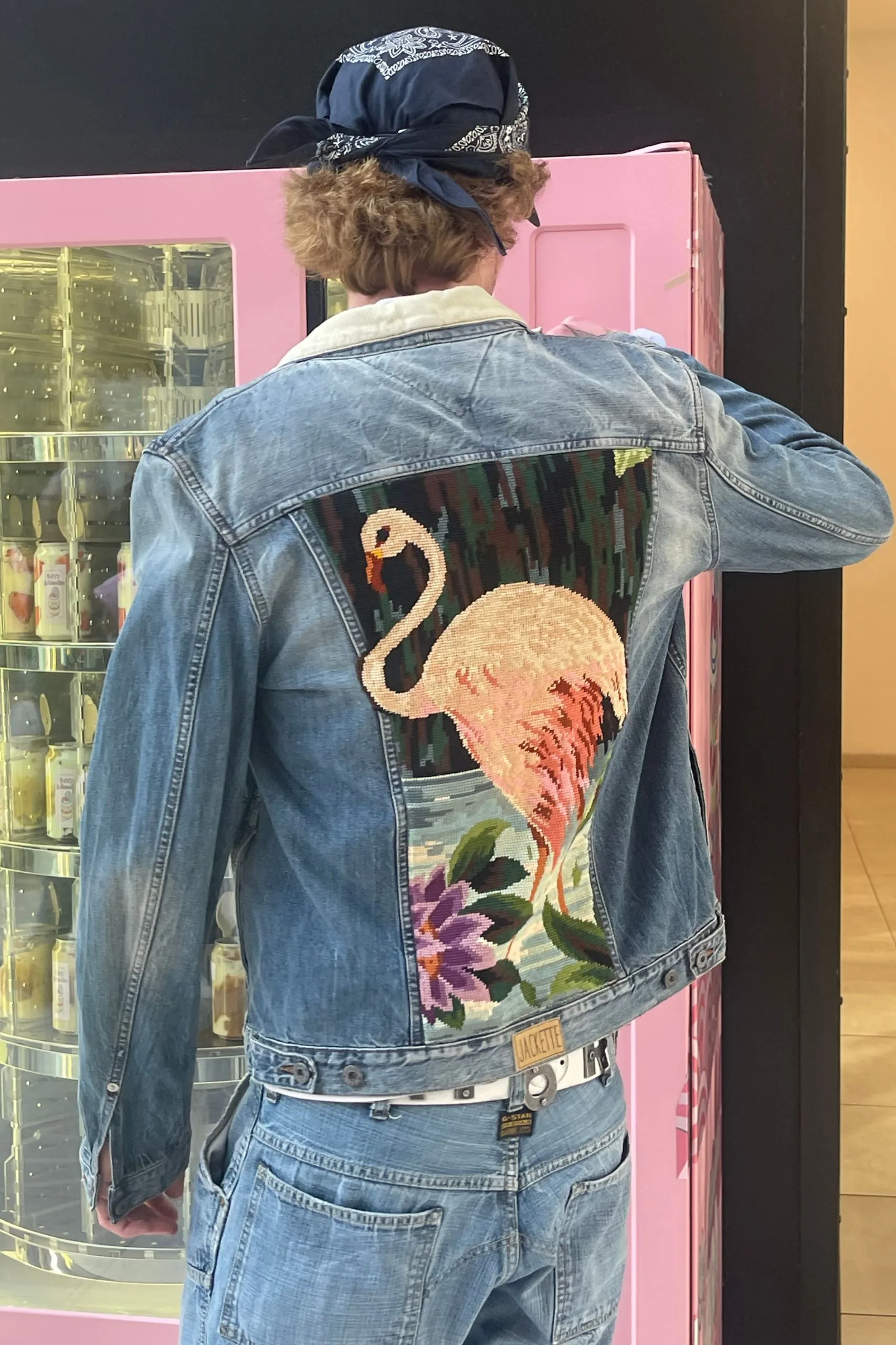 Flamingo à collier – Image 7